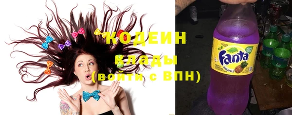 мдпв Вяземский