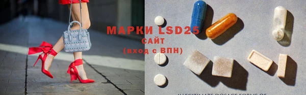мдпв Вяземский