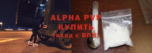 мдпв Вяземский