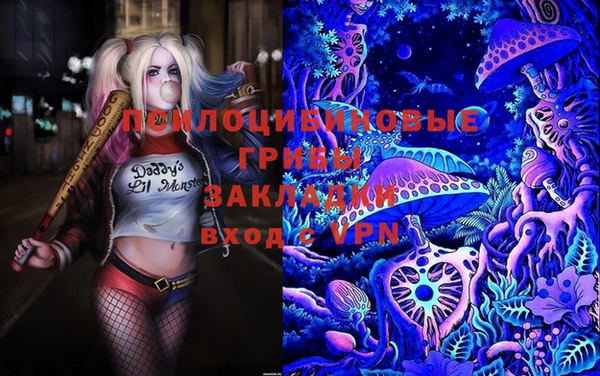 эйфоретик Вязники