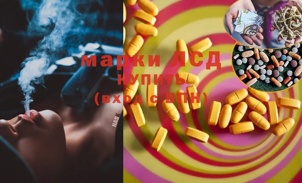 мдпв Вяземский