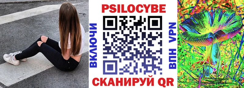 Псилоцибиновые грибы Psilocybe Таганрог